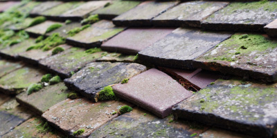 Penhow roof repair costs